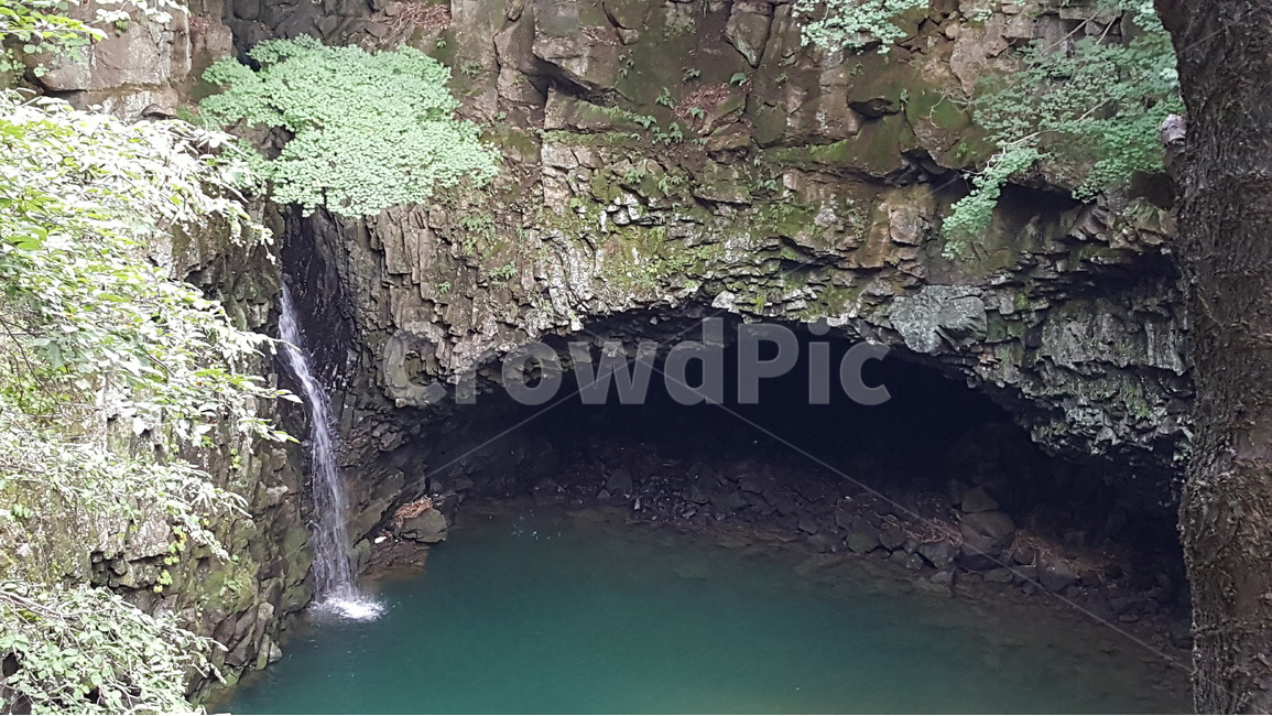 비둘기낭,폭포,계곡,자연,물,자연,풍경,nature,landscape