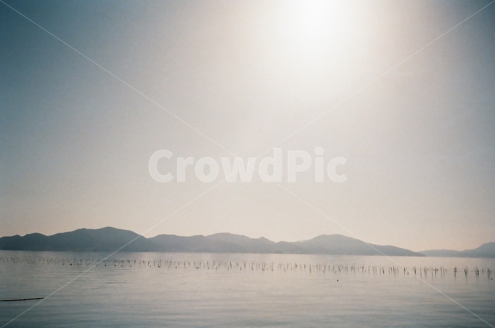 필름,필름사진,비토섬,바다,굴,양식장,nature,자연,outdoors,옥외