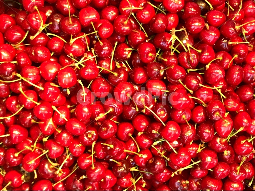 체리,과일,빨강,레드,빨간색,베리,red,cherry,pink,꼭지,광택,shine,시장,과일가게,pattern,패턴,음식,식재료,요리,food,cook,meal,dishes,food reserves,과일,열매,fruit