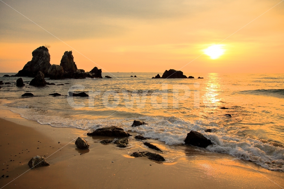 동해안,일출,추암해변,갈매기,바닷가,자연,풍경,nature,landscape,한국자연풍경,한국자연경관,korea nature landscape,해변,바다,beach,sea,outdoors,옥외,water,물,ocean,대양