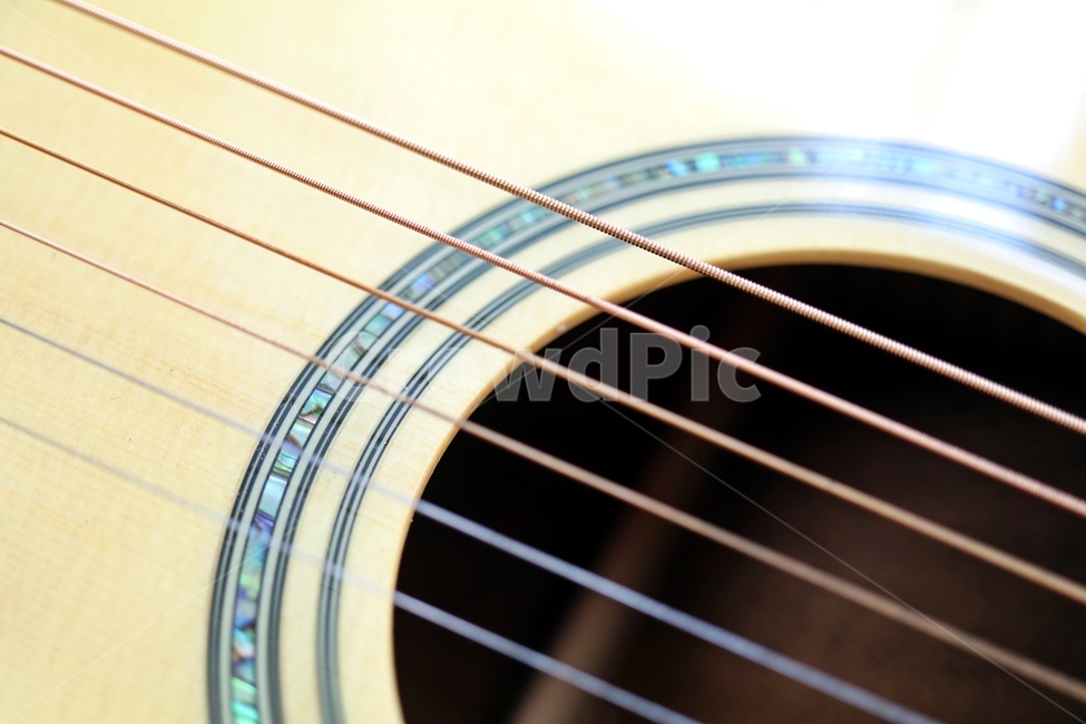 기타,기타줄,줄,취미생활,취미,악기,음악,악기,음향기기,musical instrument,musical equipment
