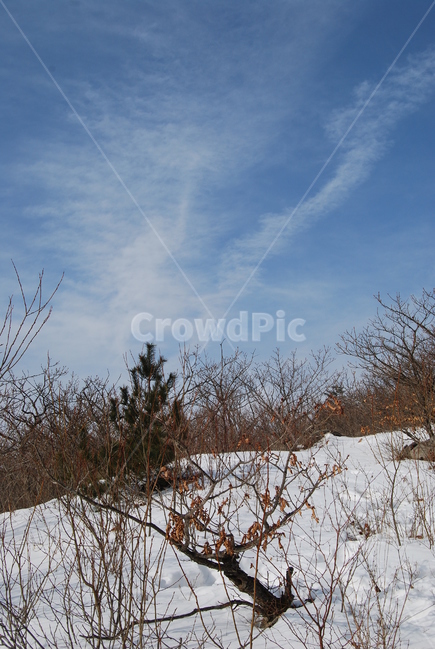 노인봉,강릉,100대명산,소금강,오대산,산행,힐링,자연,감성,등산,계절,여행,한국,한국명산,한국등산,풍경,눈,나무,하늘,바람,바람소리,환경,생태계,산,땅,겨울,계절,winter,season,자연,풍경,nature,landscape,한국자연풍경,한국자연경관,korea nature landscape,outdoors,옥외