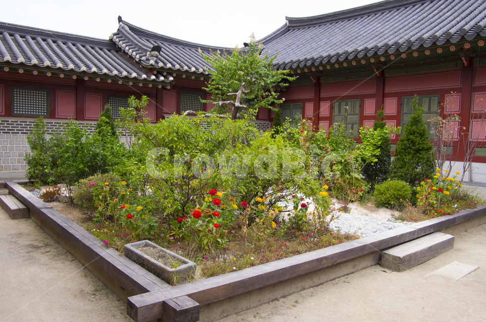 화성별궁,고택,정원,가든,한옥,전통,조선시대,조선,scene,view,feeling,emotion,nature,landscape,season,풍경,감정,감성,자연,계절,뷰티,garden,korea,culture,traditional,풍경사진,감성사진,정취