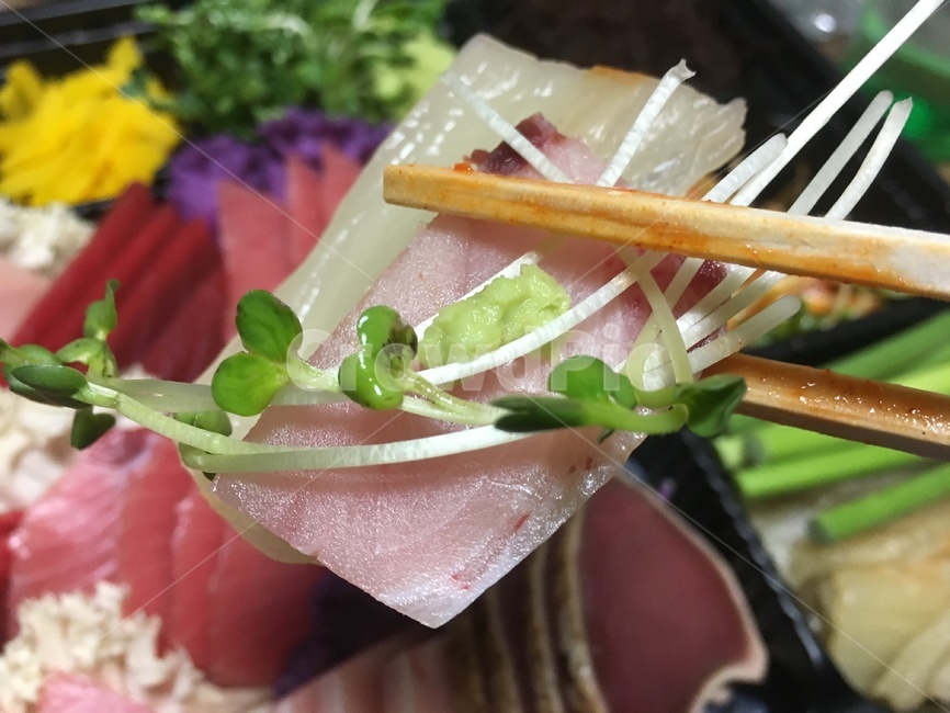 참치,참치뱃살,다랑어,무순,와사비,참치맛집,음식
