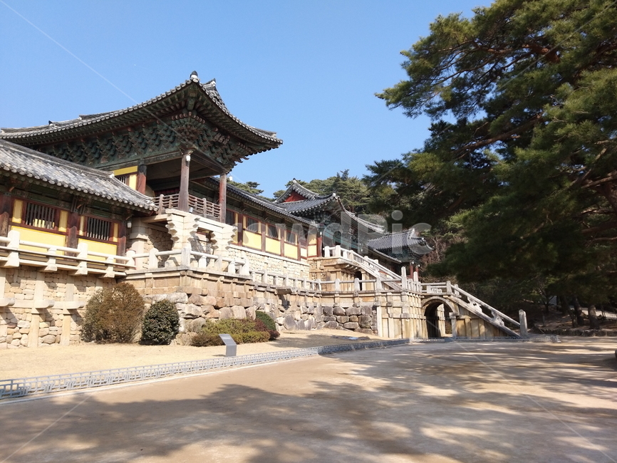 불국사,세계문화유산,경주,관광,대한민국,역사,한국,한국문화재,문화,한국전통,한국문화,한국관광지,한국명소,한국랜드마크,자연,건축물,풍경,전통,전통문화유산,경주불국사,소나무,불국사풍경,bulguksa,cultures,koreanculture,landmark,korealandmark,religion,construction,structure,architecture,한국전통,한국문화,korean traditional,korean culture,건축물,건물외관,exterior,building,structure,architecture,construction