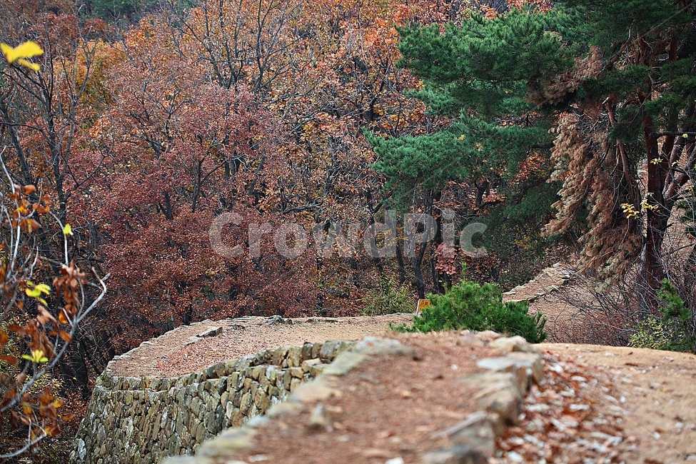 전등사,산성,성,성곽,길,둘레길,숲,숲길,담,돌담,가을,자연,풍경,식물,벽,방어벽,낙엽,단풍,가을,계절,fall,autumn,season,자연,풍경,nature,landscape
