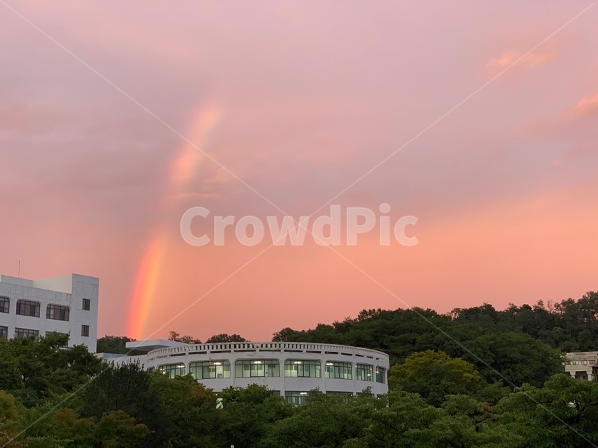 nature,자연,outdoors,옥외,sky,하늘,무지개