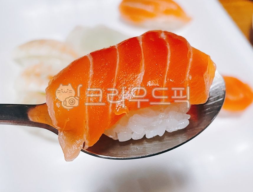 생선초밥,연어초밥,초밥,생선회,회,사시미,일식,날음식,밥,백미,음식,요리,식사,식재료,먹방,연어,생선,food,rice,fish,dish,cook,meal