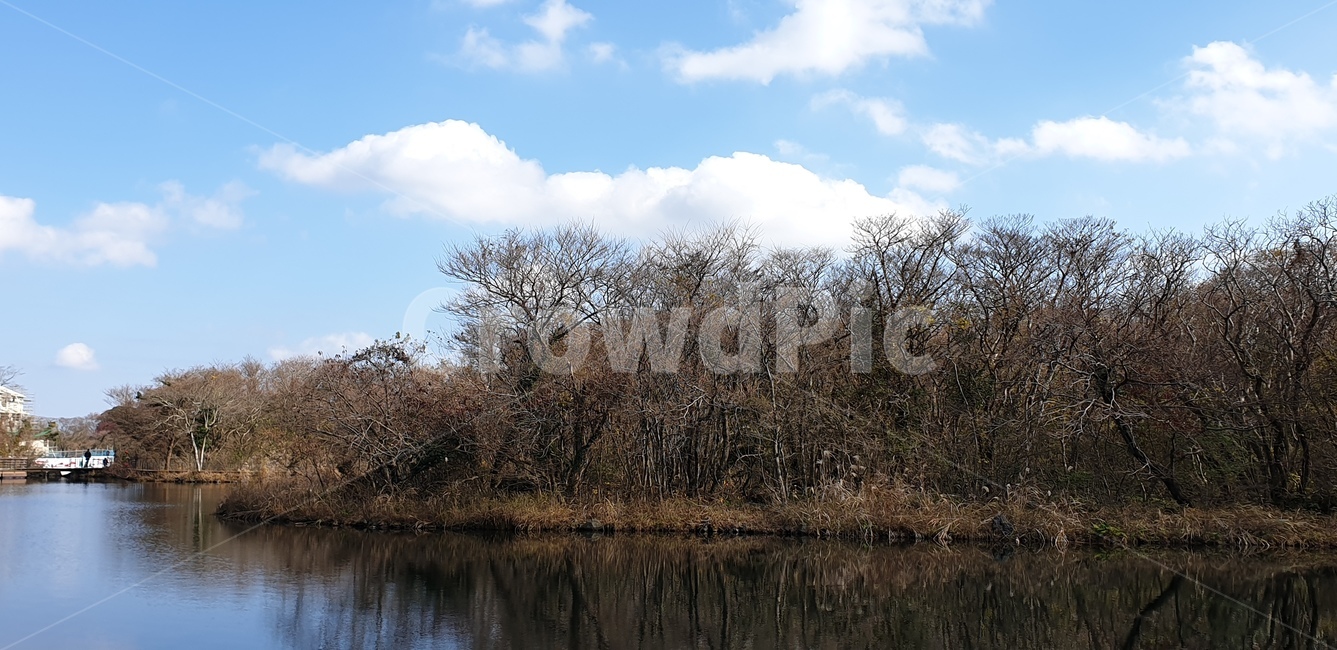 강,나무,하늘,가을,구름,자연,river,tree,trees,sky,가을,계절,fall,autumn,season,nature,water,물,outdoors,옥외,land,땅