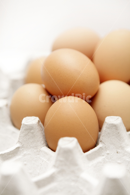 푸드,달걀,계란,egg,닭,음식,식재료,요리,food,cook,meal,dishes,food reserves