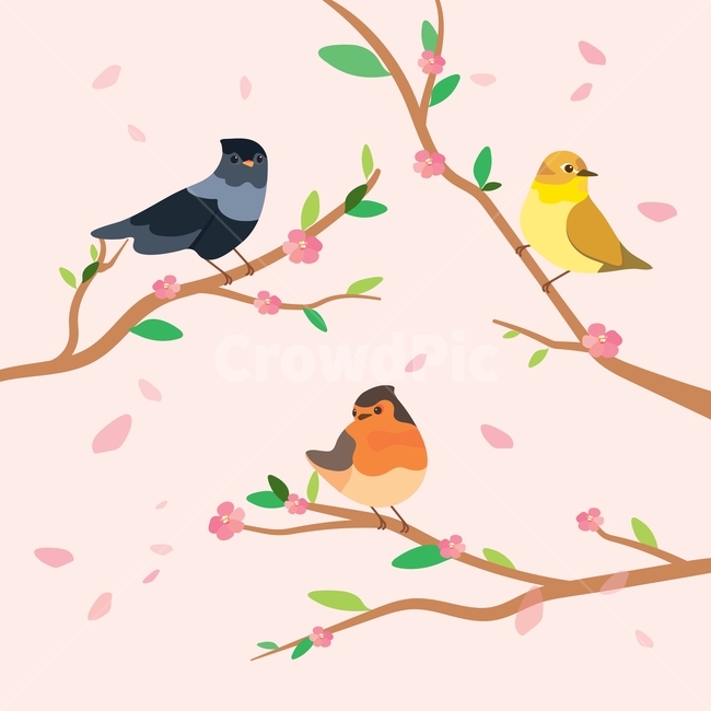 새,일러스트,여러가지,다양한,뱁새,참새,딱따구리,귀여운,학습,교육,일러스트레이션,벡터,자연,알록달록한,꽃,벚꽃,나무,나뭇가지,꽃잎,봄,계절,spring,season,동물,animal,조류,새,birds,그래픽,일러스트레이션,graphic,illustration,bird
