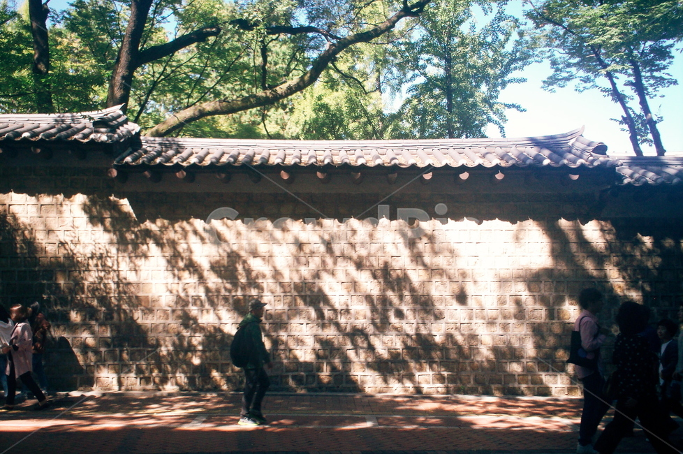 돌담길,덕수궁,길가,기와,그림자