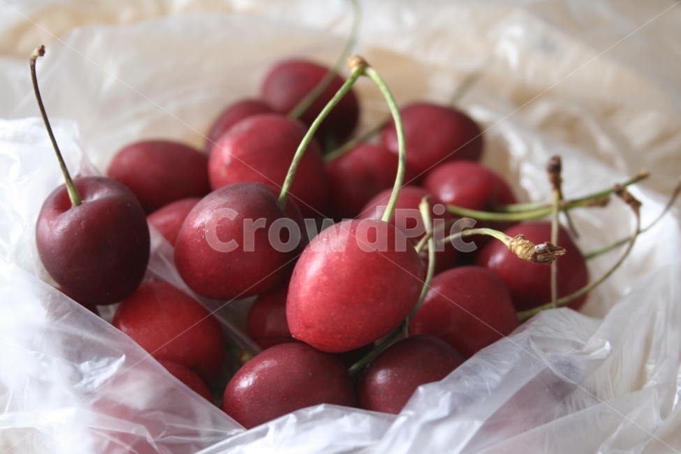 체리,과일,버찌,빨강,과일가게,음식,식재료,요리,food,cook,meal,dishes,food reserves,과일,열매,fruit