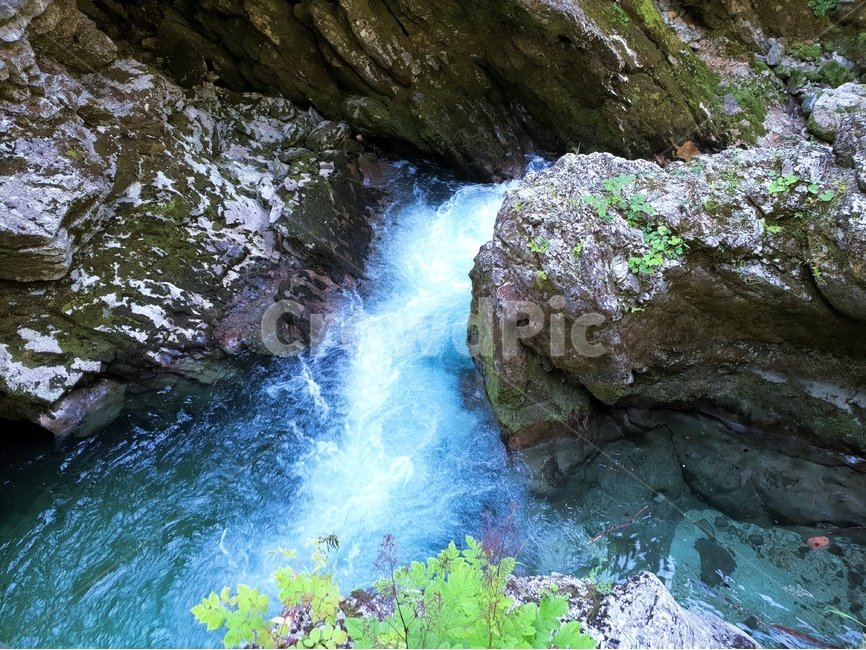 협곡,계곡,여름,슬로베니아,빈트가르,vintgar,gorge,valley,빈트가르협곡,계곡물,자연,풍경,동유럽,물,경관,더위,숲,나무,자연,풍경,nature,landscape,해외,외국,세계,foreign,oversea,world,세계자연풍경,해외자연풍경,외국자연풍경,world nature landscape,water,outdoors,옥외,river,강