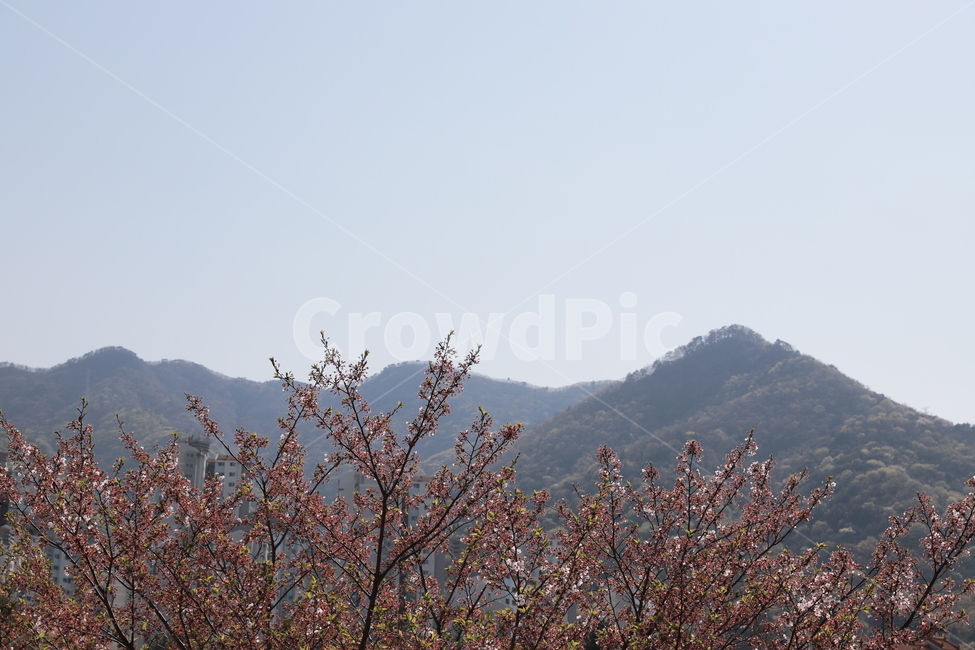 자연,nature,산,풍경,계절