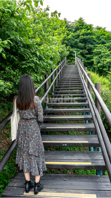 소녀,언덕,계단,여자,산,숲,길,오르막길,등산,자연,풍경,nature,landscape,사람,인물,인간,human,person,여성,여자,woman,female,lady,handrail,난간,banister,railing
