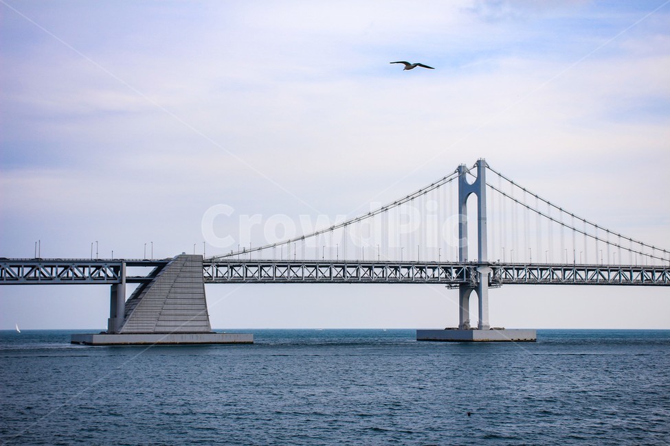 바다,대교,다리,광안대교,bridge,하늘,푸른색,파란색,건축물,건물외관,exterior,building,structure,architecture,construction