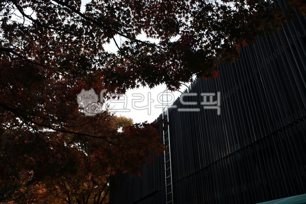 자연,건물,사다리,공생,자연과건물