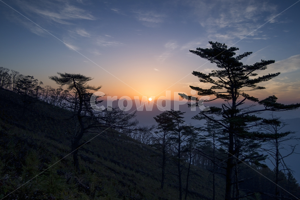 강원도,영월,해돋이,산중턱,풍경사진,풍경,landscape,소나무,여명,하늘,등산,여행,자연,풍경,nature,landscape,outdoors,옥외,sky,red sky,붉은 하늘,dusk,황혼,dawn,새벽,sunset,일몰