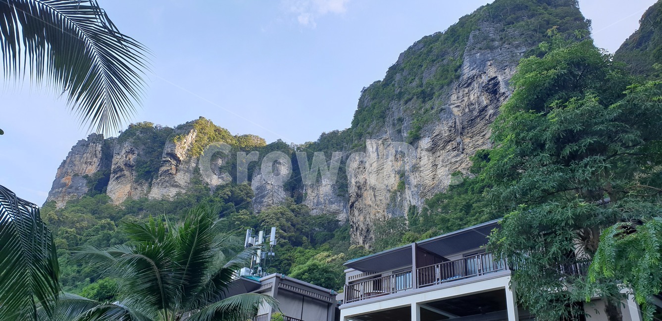 outdoors,옥외,nature,자연,tree,plant,식물,돌산,암벽,절벽,낭떠러지,야자수,건물,리조트,태국,끄라비,돌,나무