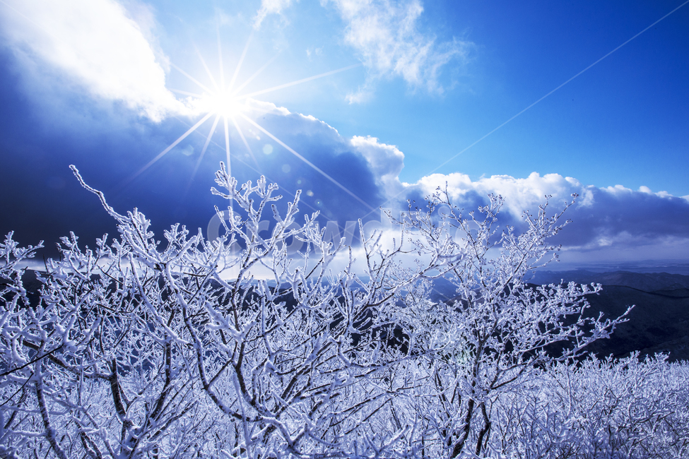 눈꽃풍경,상고대,설경,겨울풍경,국립공원,겨울동화,힐링,감성,아름다움,뷰티풀,설국,눈풍경,파란하늘,100대명산,겨울명산,서리꽃,영동,snow,눈,화이트,자연,신비로운,경이로운,천상,비경,치유,산,명산,겨울,계절,winterseason,풍경,한국자연풍경,한국자연경관,korea,nature,landscape,식물,plants,나무,trees,wood,겨울,계절,winter,season,자연,풍경,nature,landscape,outdoors,옥외