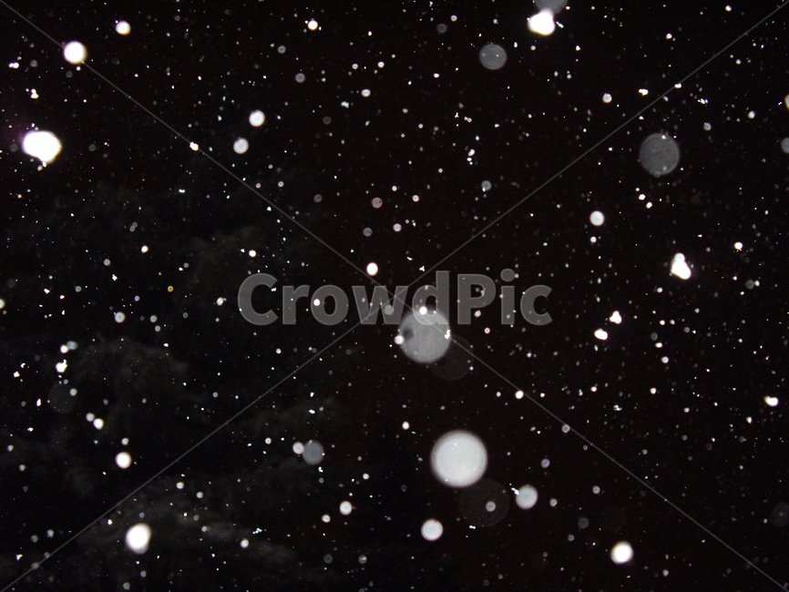 눈꽃,눈,겨울,winter,outdoor,snow,nature,자연,옥외,폭설,겨울,계절,winter,season,야경,밤,풍경,nightscape,night,landscape