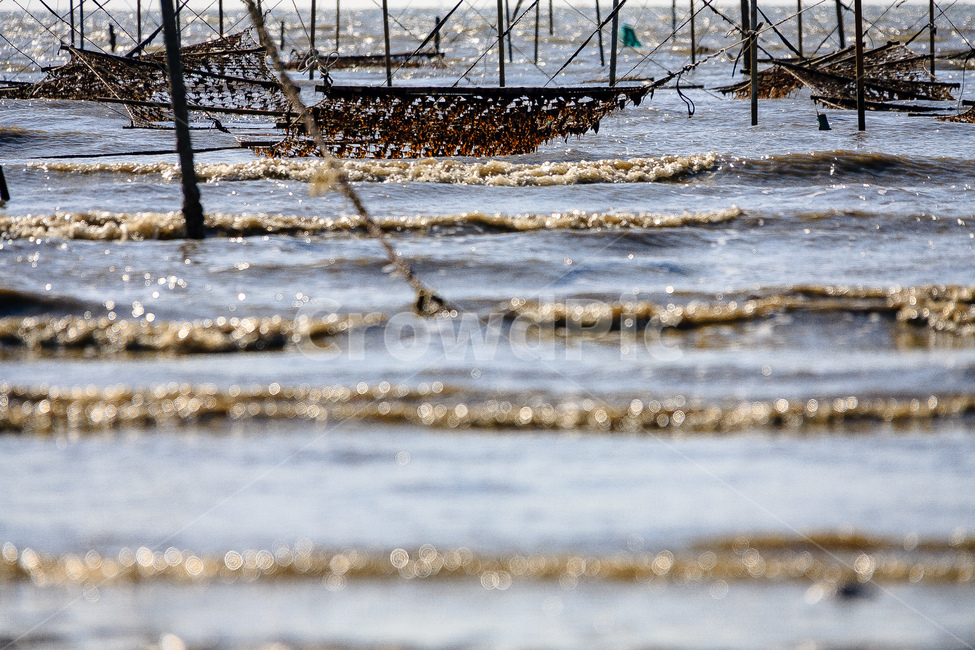 파도,서해,해안,바다,수평선,해안선,산업,industry,industrial,어업,fishery,fishing industry
