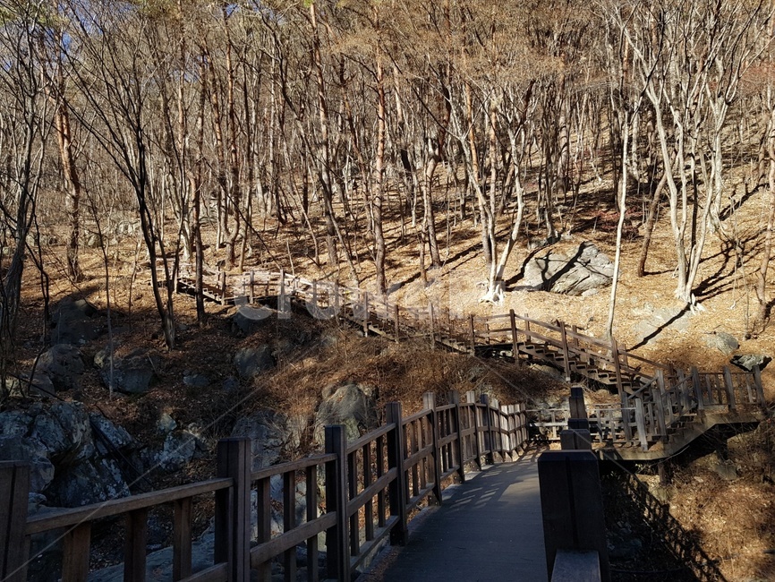 가을,나무,나무계단,오솔길,낙엽,쓸쓸