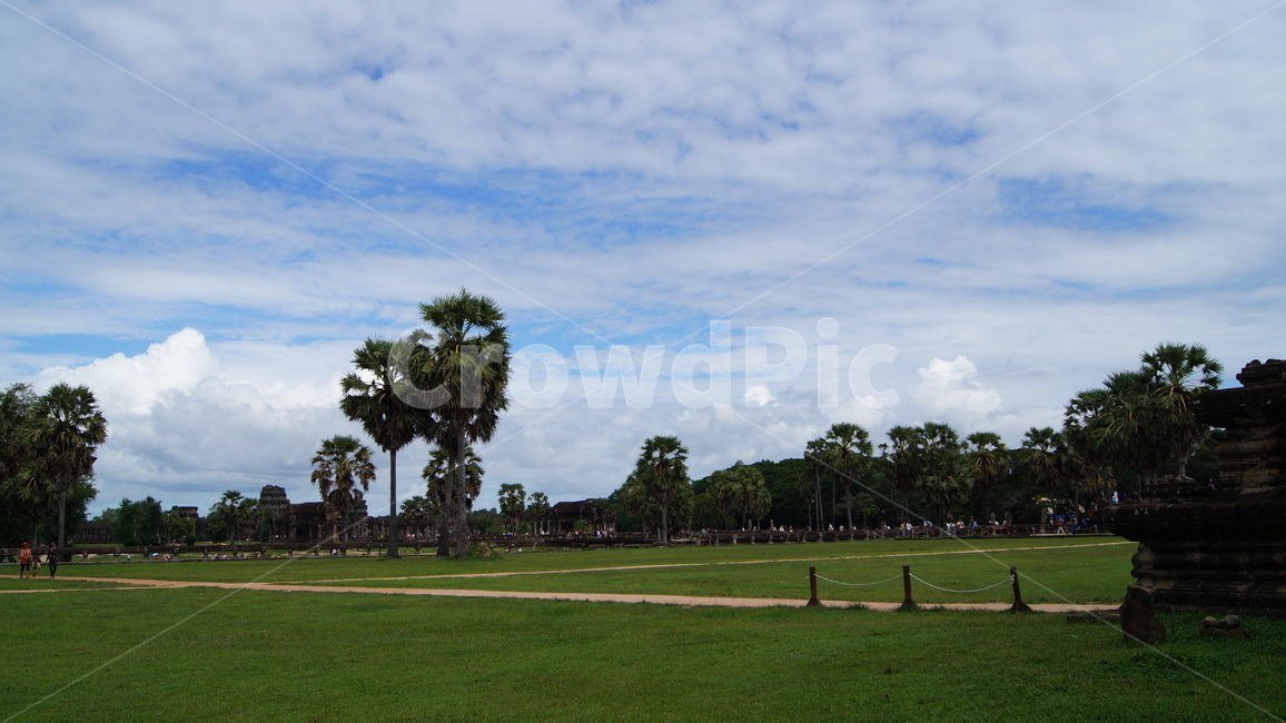 trees,tree,forest,cambodia,sky,blue,cloud,road,park,garden,landscape,green,nature,sun,sunny,sunnyday,나무,하늘,공원,숲,캄보디아,풍경,자연,잔디,해,풀