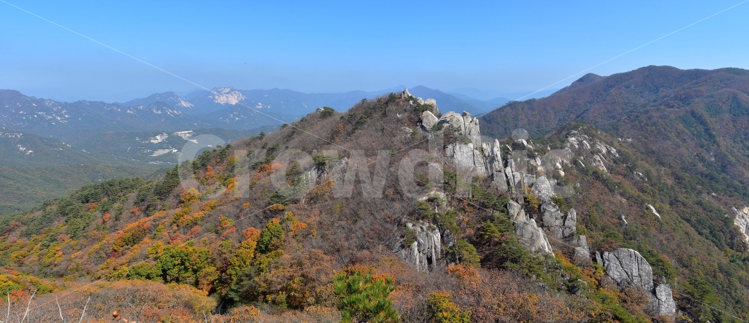 용추계곡,둔덕산,가을,단풍,풍경,국립공원,낙엽,명산,자연,비경,단풍나무,가을색,가을색채,오색단풍,가을단풍,대야산,속리산국립공원,빨간색,붉은단풍,자연,풍경,nature,landscape,가을,계절,fall,autumn,season,outdoors,옥외,mountain,산,mountain range,산맥