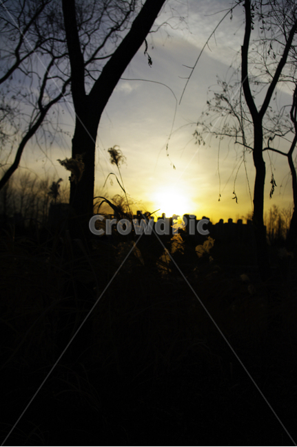 노을,일몰,sunset,하늘,구름,풍경,나무,식물,plant,자연,풍경,nature,landscape,light,빛,flare,플레어,sunlight,햇빛