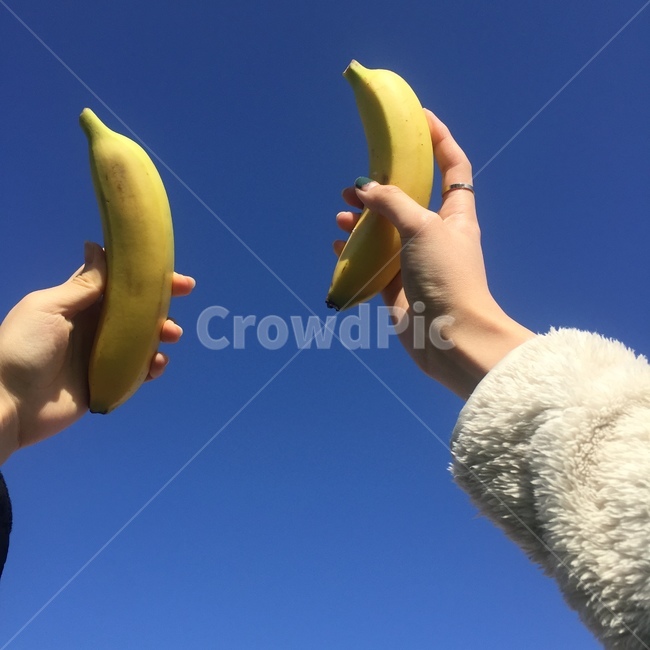 손,바나나,과일,열대과일,하늘,과일,열매,fruit