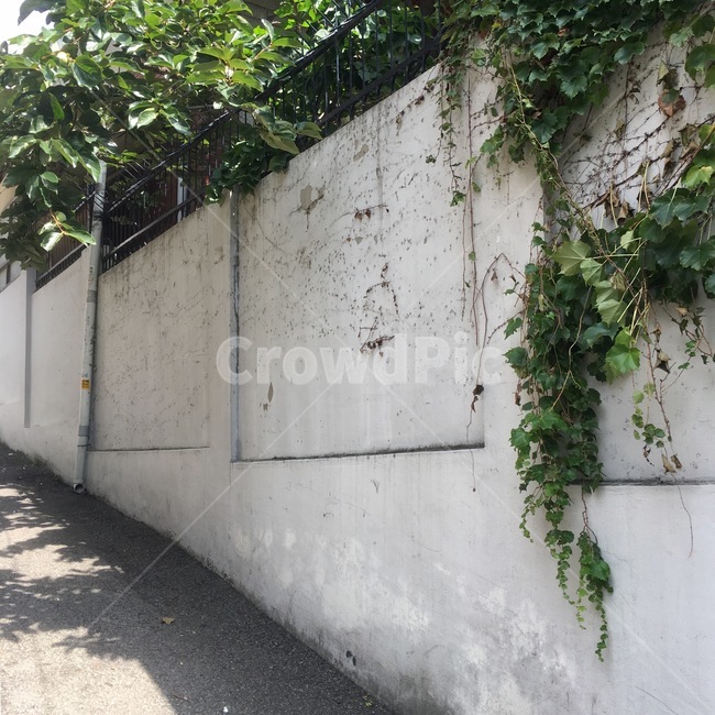 풍경,배경,벽,background,wall,scenery,골목길,alley,plant,식물