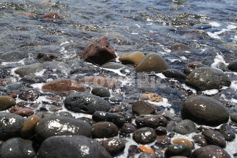 바다,물,돌,자연,생명,자연,풍경,nature,landscape,pebble,다루기 완고한 동물