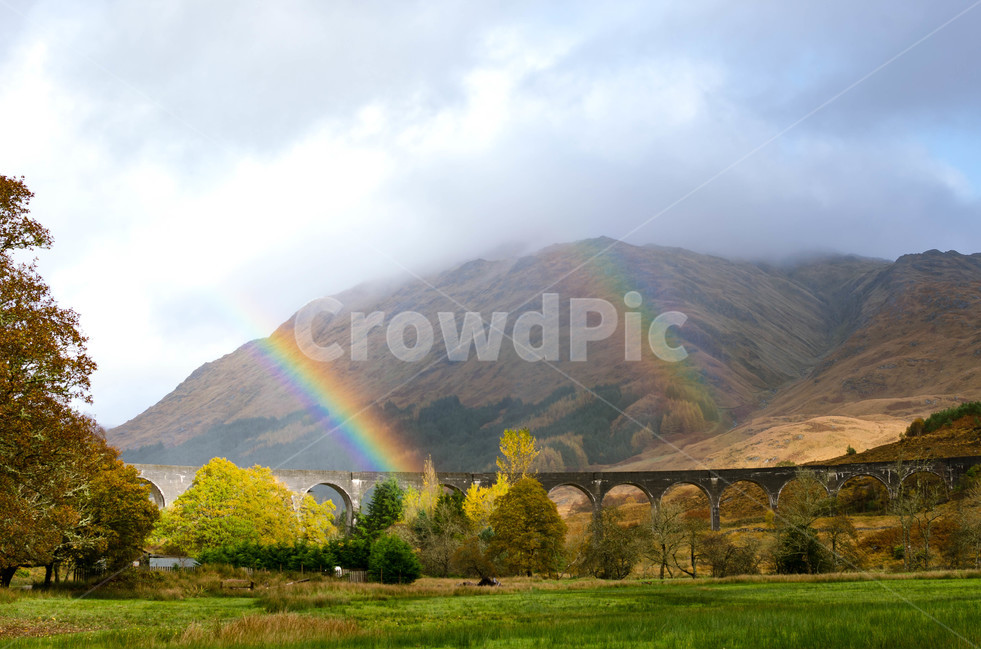 무지개,자연,풍경사진,쌍무지개,rainbow,nature,자연,풍경,nature,landscape,해외,외국,세계,foreign,oversea,world,세계자연풍경,해외자연풍경,외국자연풍경,world nature landscape,outdoors,옥외,grass,잔디,plant,식물