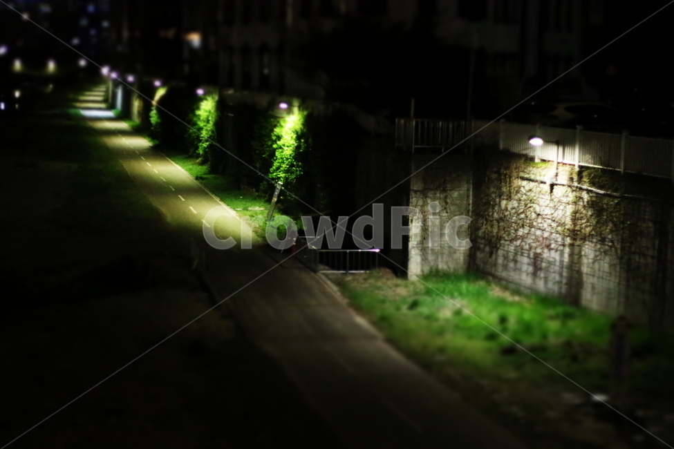 산책,가로등,불빛,강,밤,심야,walk,streetlamp,light,river,night