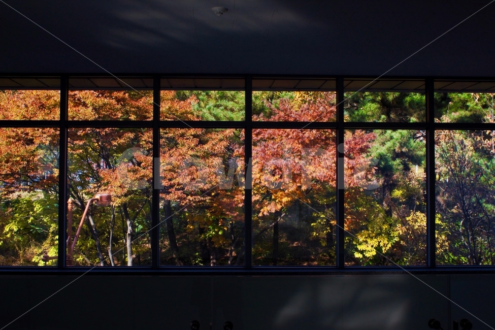 풍경,단풍,캐논700d,창문,landscape,자연,nature,canon,canon700d,window,자연,풍경,nature,landscape,가을,계절,fall,autumn,season