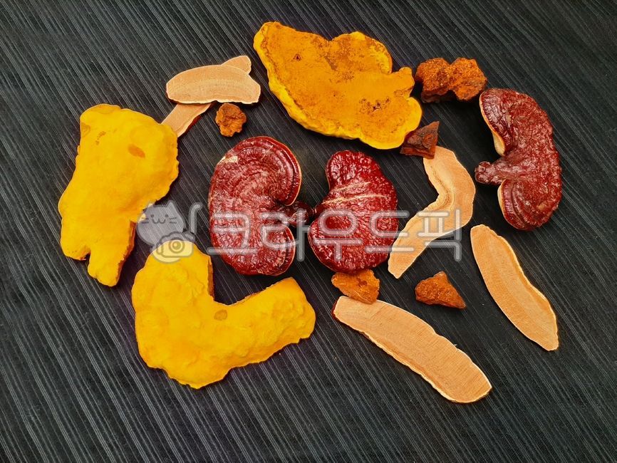 버섯,영지버섯,말린버섯,차가버섯,상황버섯,food,음식,한방재료,보약재료,식재료,mushroom,영지,차가,상황,한방차