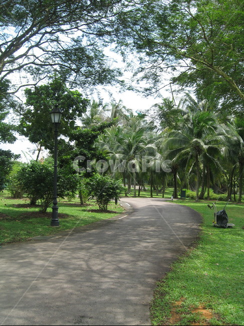 garden,정원,outdoors,나무,tree,자연,자연,풍경,nature,landscape,식물,plants,나무,trees,wood