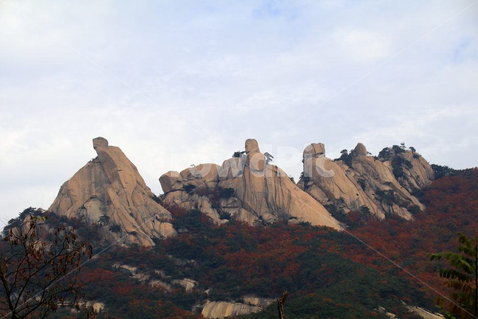 산,가을,도봉산,풍경,자연,가을,계절,fall,autumn,season,자연,풍경,nature,landscape,한국자연풍경,한국자연경관,korea nature landscape,outdoors,옥외,mountain
