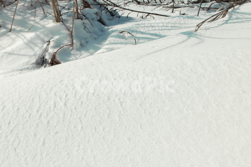 눈,겨울,눈밭,발자국,중산간,겨울,계절,winter,season