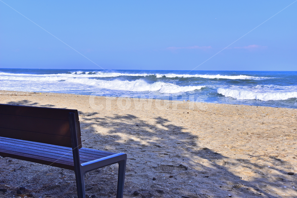 바닷가,파도,바다,동해바다,해안가,모래밭,sandybeach,coast,seashore,seaside,한국자연풍경,풍경,landscape,모래사장,해수욕장,나무,해송,푸른하늘,포말,바다풍경,물,background,백그라운드,배경,바탕,옥외,야외,outdoor,healing,nature,자연,ocean,water,의자,쉼터,나무의자,빈의자,텅빈,한적한