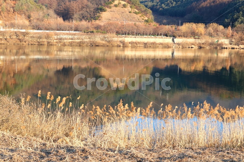자연,풍경,겨울,나무,강,북한강,강물,물,산,가평,경기도,갈대,가을,계절,fall,autumn,season,자연,풍경,nature,landscape,water,outdoors,옥외