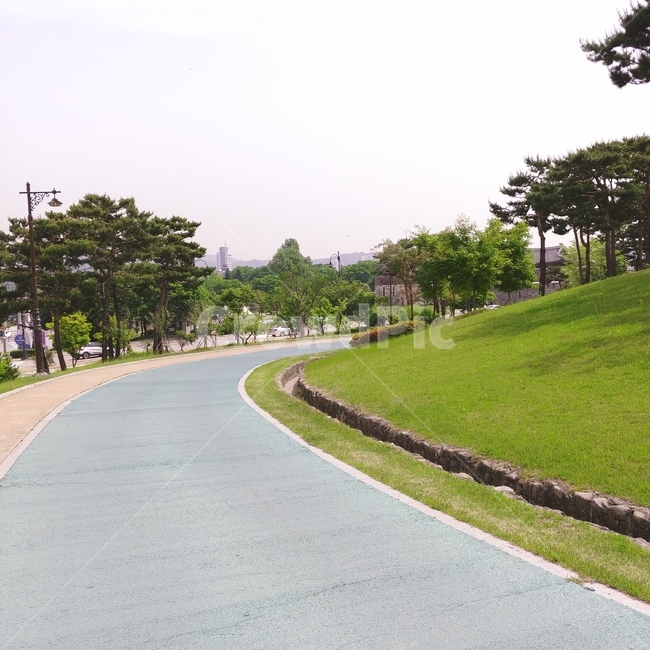 산책,휴식,힐링,공원,풍경,산책로