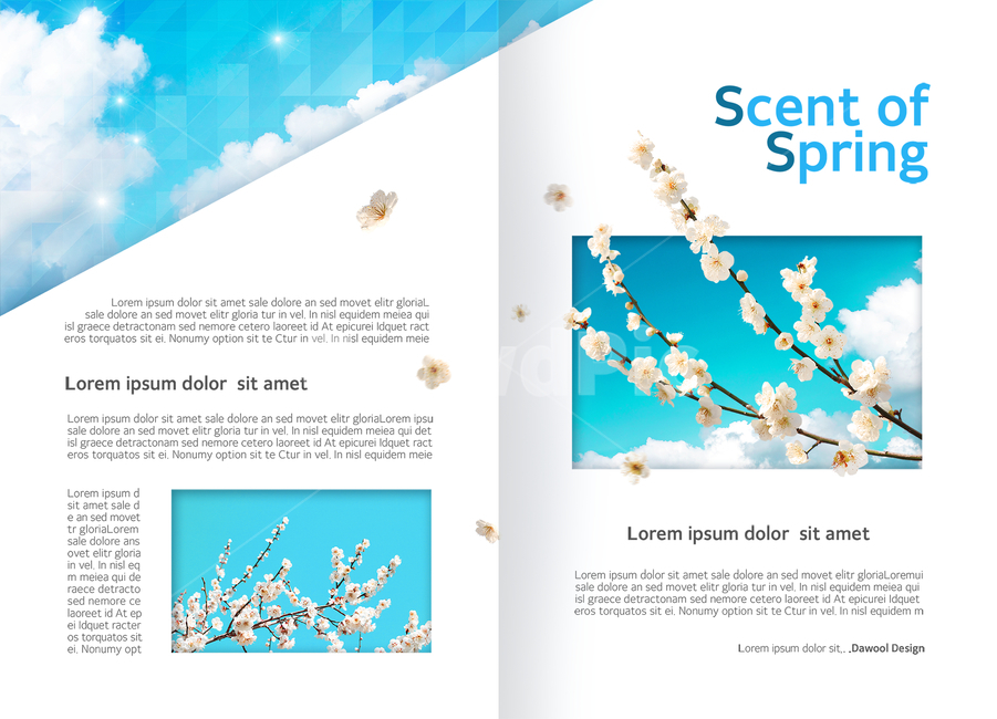 하늘,구름,벚꽃,꽃,벚나무,봄,감성,텍스트박스,말상자,표지,전단지,브로슈어,카달로그,봄,계절,spring,season,식물,자연,plants,nature,꽃,flower,그래픽,일러스트레이션,graphic,illustration,poster,포스터,flyer,전단,paper,종이,advertisement,광고,brochure