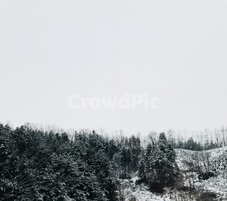 눈,산,풍경,하얀,겨울