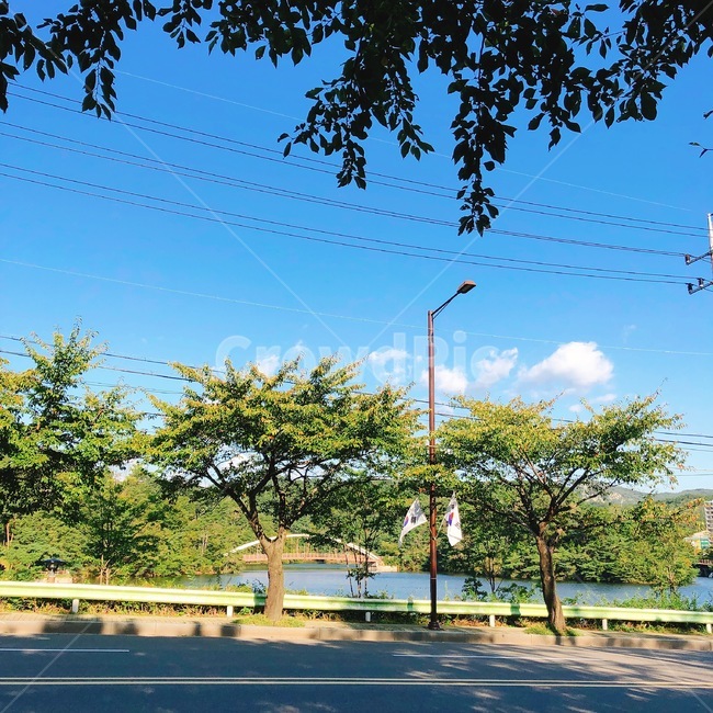 자연풍경,울산,울산동구,명덕저수지,날씨,맑음,출근길