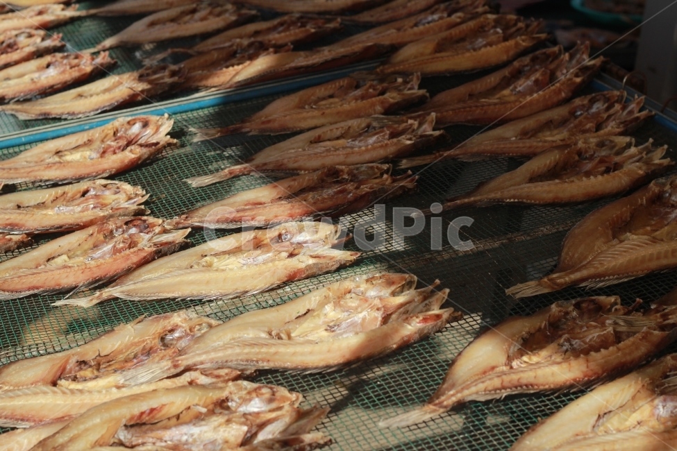 물고기,건어물,우럭,바닷가,어촌,시장,음식,식재료,요리,food,cook,meal,dishes,food reserves,수산물,해산물,fishery products,seafood