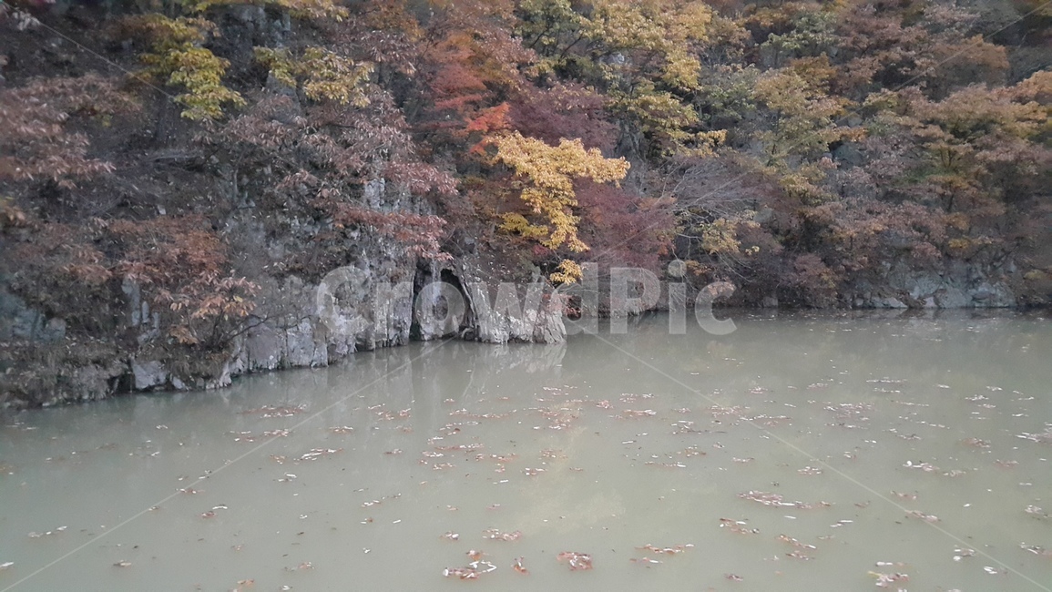 자연풍경,강풍경,가을강풍경,가을단풍,naturalscenery,agaleofwind,theautumnsceneryofautumn,자연,풍경,nature,landscape,water,물,outdoors,옥외,land,땅