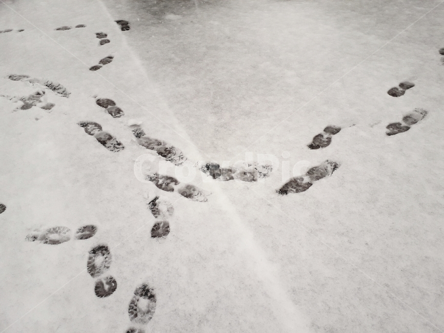 눈,발자국,첫눈,눈발자국,이별,걸음,겨울,계절,winter,season